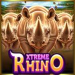 Extreme Rhino Slot Gacor Hari Ini